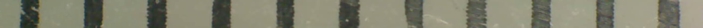 mm Scale